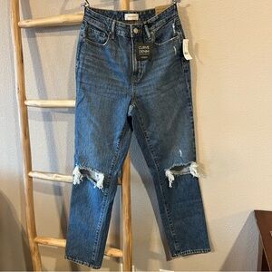 Pacsun Curve Denim Straight Leg Jeans